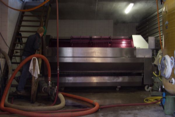 sohn-michael-beim-rotwein-pressen6567EBA3-348F-3B59-145B-EAA581E7F8D8.jpg